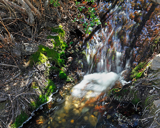 Water Fall in Ice Box Canyon in Red Rock Canyon