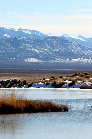 Ely, NV