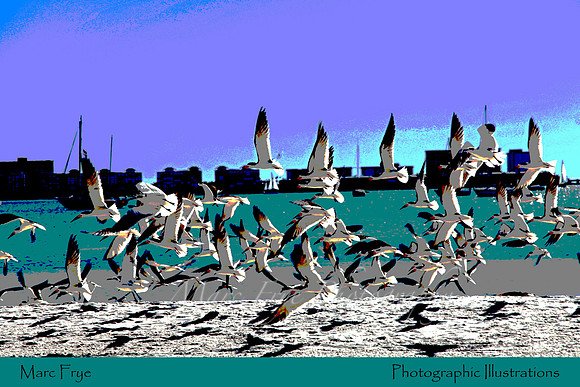 Gulfport, FL