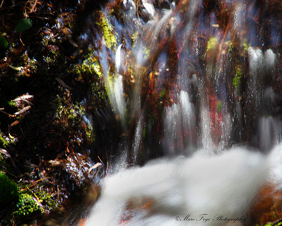 Water Fall in Ice Box Canyon in Red Rock Canyon